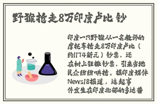 草莓榴莲秋葵鸭脖最新章节